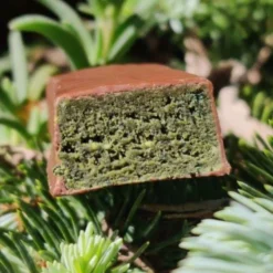 Barre verte vegan cacahuète Spiruline sans gluten à l'unité PROLINEA