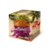 Panettone protéiné individuels à l'unité FeelingOK